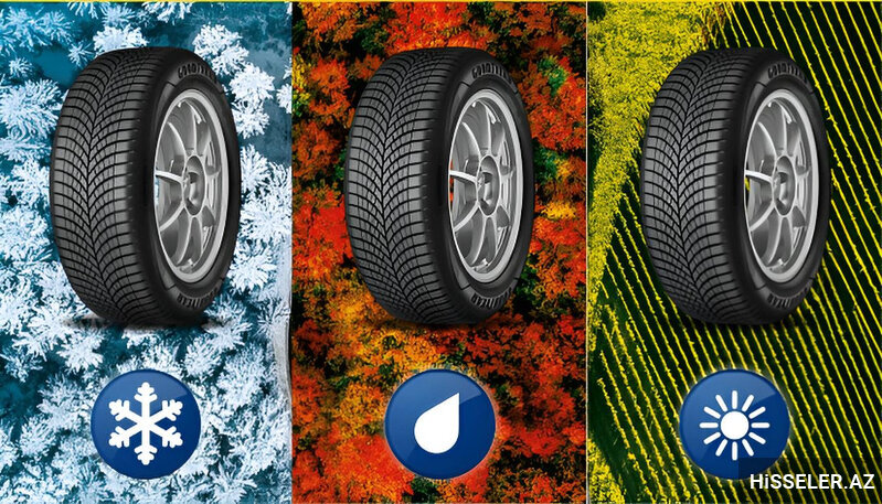 Yay, Qış və 4 Mövsüm Təkərləri Arasındakı Fərqlər