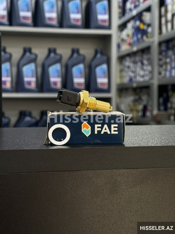 Bmw E39/e60 Tempratur Sensoru (Datciki) Bmw E39/e60 Tempratur Sensoru (Datciki)