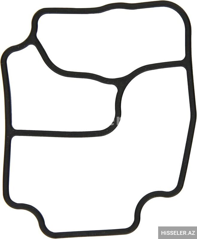 Bmw e60 m54 filter korpusunun salniki Bmw e60 m54 filter korpusunun salniki