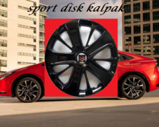 Ford Kia Hyundai diskqapagi r15