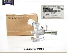 Hyundai I30 Thermostat Korpusu (256002b003)