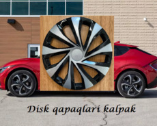 Opel/kia/nissan diskqapaqlari R15