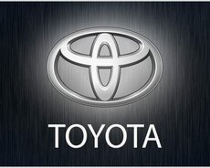 Toyota Ehriyat Hisseleri