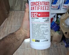 Antifliz G-12 Consentral