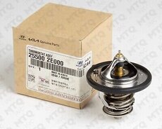 Hyundai elantra termostat (255002e000)
