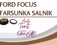 Ford focus farsunka salniki