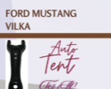 Ford mustang vilka