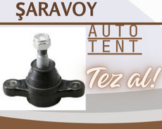 Subaru forester şaravoy