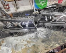 Prado 2019 cut arginal