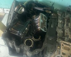 Vanus n20