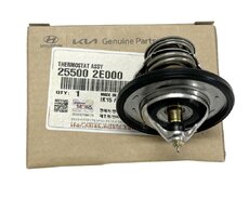 Hyundai Kia termostati