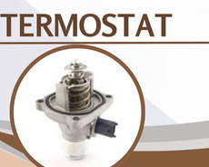Ford fusion termostat