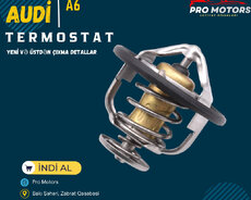 Audi A5 Termostatı