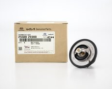Kia Forde thermostat (255002e000)
