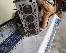 Golovka kolektir garshig