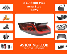 Byd arxa stop 2025