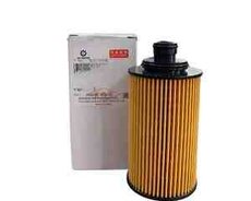 Changan F70 yağ filteri