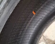 224.45.17 Təkər satıram