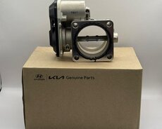 Hyundai Santafe 2012-2015 2.0 Dizel Drossel Qapağı (Zaslonka