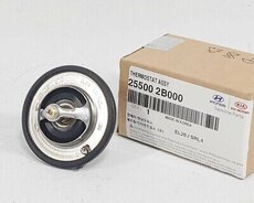 Hyundai veloster termostati