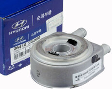 Hyundai Kia kitabcasi