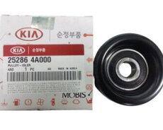 252864A000-Rolik Hyundai orijinal