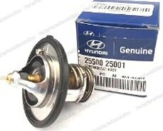 2550025001-termostat Hyundai orijinal