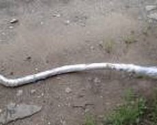 287505A100-qluşitel turbası Hyundai orijinal