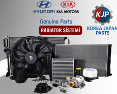 "Hyundai, Kia" radiator sistemi