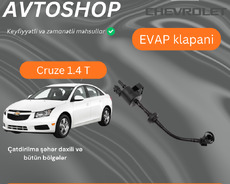 Chevrolet Cruze 1.4 turbo Evap sensoru