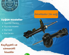 Hyundai elantra qabaq amortizator