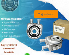 Hyundai Kia yag radiatoru