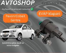 Ravon R3 Evap sensoru