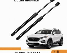 Kapot baqaj Amartzatrları