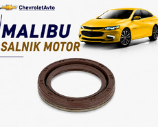Chevrolet malibu motor salnik
