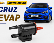 Chevrolet cruze evap