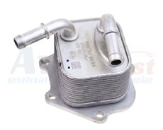 Byd Cn Seal Destroyer Qin plus Kitabca