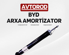 Byd arxa amortizatoru